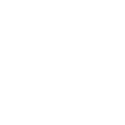 Adelaide Airport Logo White