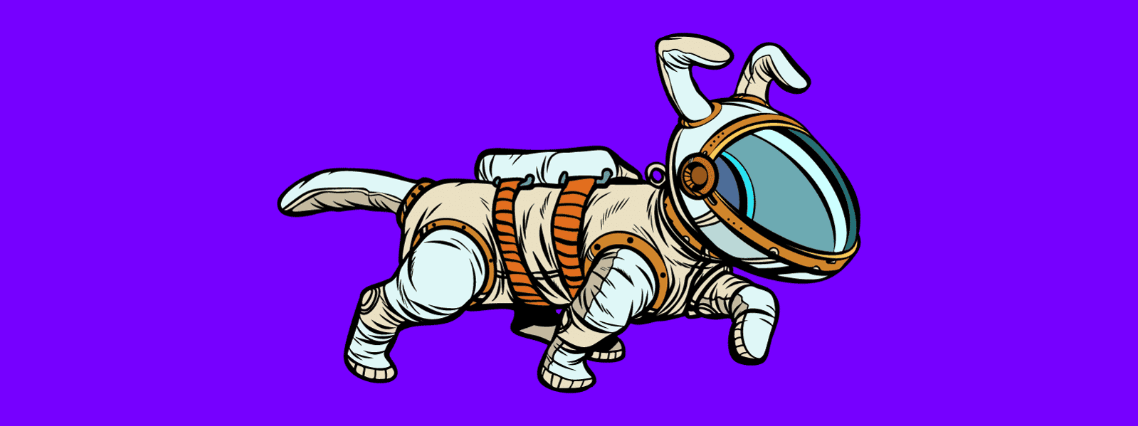 Tech lessons from the 2020 Jetpets Companion Animal Rescue Awards