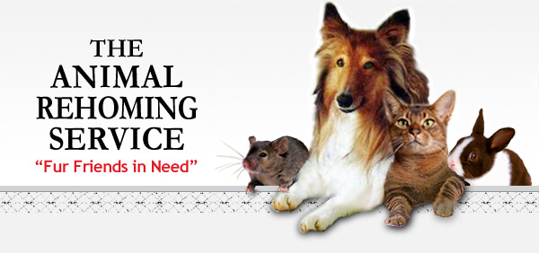 The Animal Rehoming Service